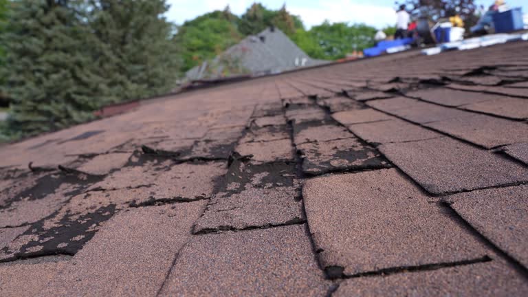 Cold Roofs in Bon Air, VA